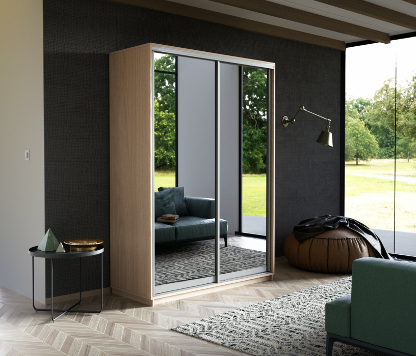 Шкафы-купе, Шкаф-купе Экспресс Экспенс дуо 2200 x 1600 x 600