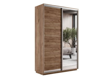 Шкаф-купе Экспресс Медиум дуо 2200 x 1200 x 450