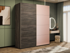 Шкафы-купе 2-х дверные, Шкаф-купе Эста 2-х дверный ДСП/Стекла пудра/Доводчик 200х66х240