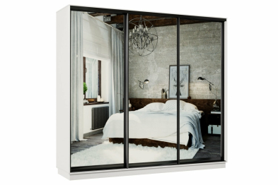 Шкаф-купе Премьер 53 Белый