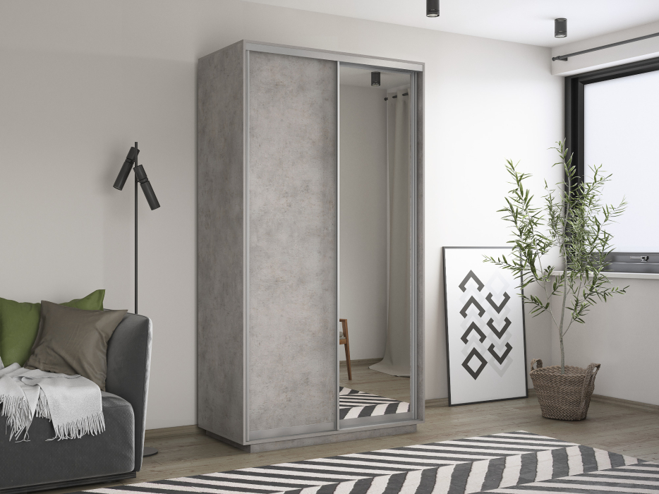 Шкафы-купе 2-х дверные, Шкаф-купе Экспресс Хит 2х дверный ДСП/Зеркало 120х60х220