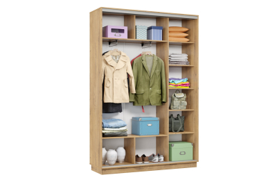 Шкаф-купе Премьер Лайт 11 (11;11) двухдверный