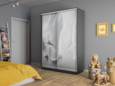 Шкафы-купе 2-х дверные, Шкаф-купе Экспресс 2-х дверный Фотопечать Шелк Стекла 160х60х240