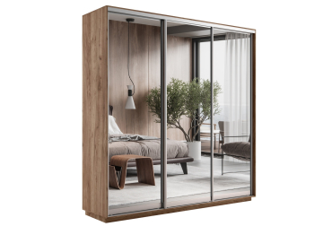 Шкаф-купе Экспресс Экспенс трио 2200 x 1800 x 450