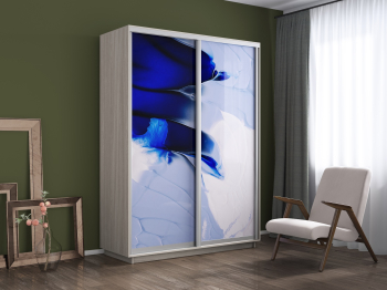 Шкаф-купе Экспресс 1011, 120х60х220