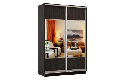 Шкаф-купе Премьер Лайт 04 (05;05) двухдверный