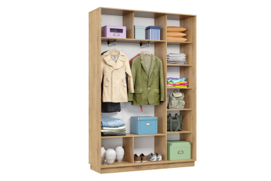 Шкаф-купе Премьер 09 (11ЗГ;11ЗГ) фасады зеркало графит/двухдверный/Профиль чёрный муар