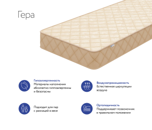 DreamLine / Матрас DreamLine Гера 1600x1950