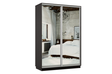 Шкаф-купе Премьер Лайт МИНИ 03 (04;04) двухдверный