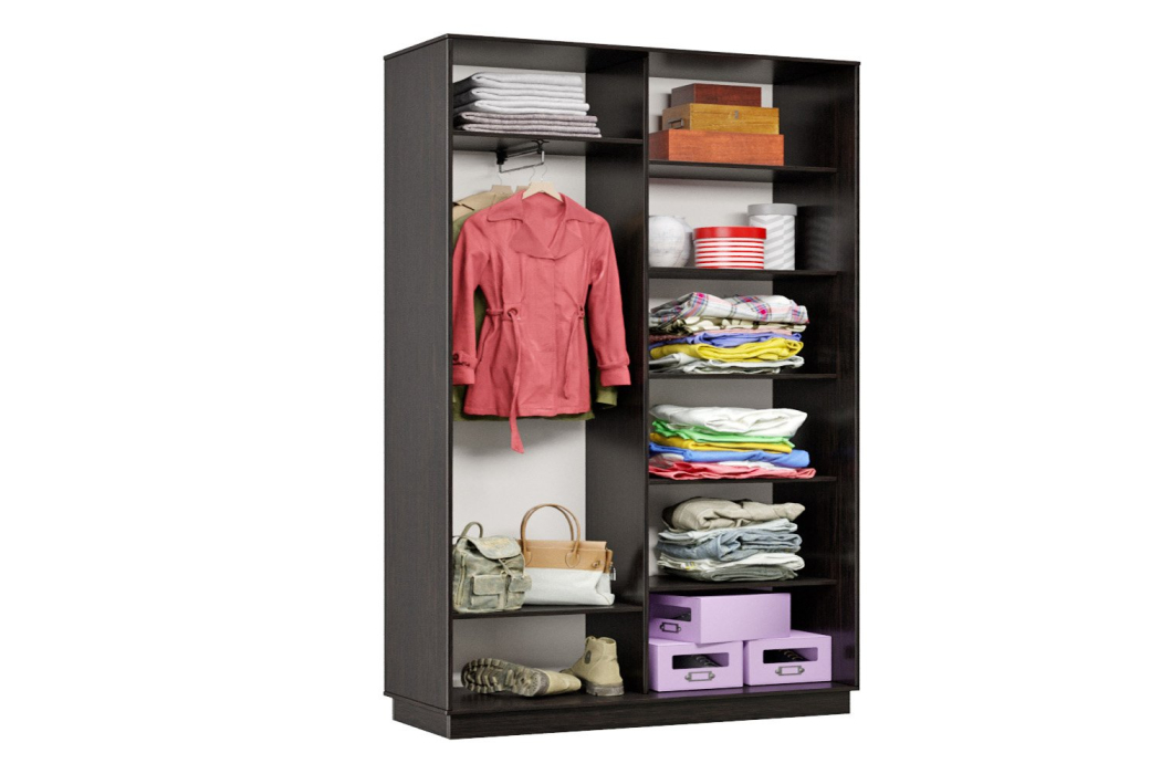 Шкафы-купе, Шкаф-купе Премьер 01 венге