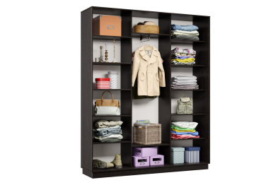 Шкаф-купе Премьер 31 венге