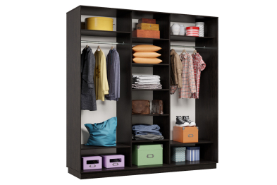 Шкаф-купе Премьер Лайт 44 (08;05;08) трехдверный