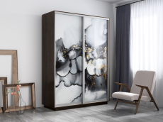 Шкафы-купе, Шкаф-купе Экспресс 1001, 160х45х220