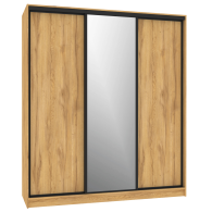 Шкафы-купе, Шкаф-купе 3-дв  Домашний 2000 зеркало/лдсп  (в2295*ш2000*г595)