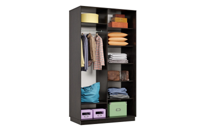 Шкаф-купе Премьер МИНИ 02 (11ЗГ;11ЗГ) фасады зеркало графит/двухдверный/Профиль чёрный муар