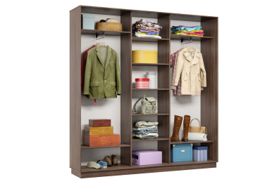 Шкаф-купе Премьер 41 (15;15;15) трёхдверный