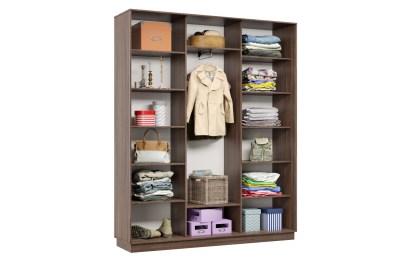 Шкаф-купе Премьер 31 (15;15;15) трёхдверный