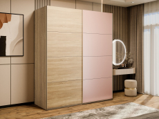 Шкафы-купе 2-х дверные, Шкаф-купе Эста 2-х дверный ДСП/Стекла пудра/Доводчик 160х66х240