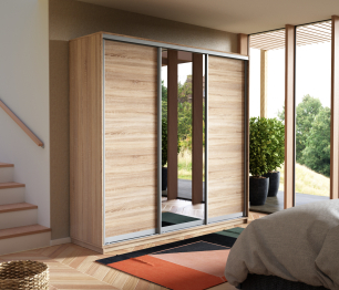 Шкаф-купе Экспресс Медиум (1 зеркало) трио 2200 x 2100 x 600