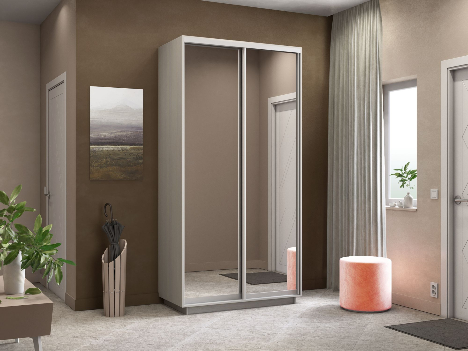 Шкафы-купе, Шкаф-купе Экспресс Экспенс дуо 2400 x 1200 x 600