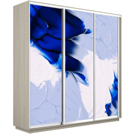 Шкаф-купе Экспресс 1010, 180х60х220