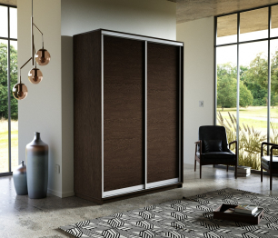 Шкаф-купе Экспресс Элемент дуо 2200 x 1600 х 600