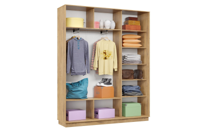 Шкаф-купе Премьер 23 (01ЗБ;01ЗБ;01ЗБ) фасады зеркало бронза/трёхдверный/Профиль чёрный муар