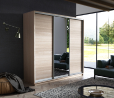 Шкафы-купе, Шкаф-купе Экспресс Медиум (1 зеркало) трио 2200 x 2400 x 600