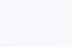 Фасады, Регина фасад 57х206 см