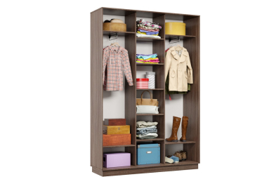 Шкаф-купе Премьер 17 (15;15;15) трёхдверный