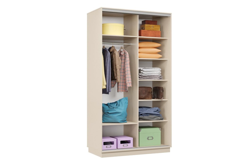 Шкафы-купе 2-х дверные, Шкаф-купе Премьер Лайт МИНИ 04 (08;08) двухдверный