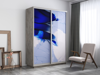 Шкаф-купе Экспресс 1010, 160х60х220