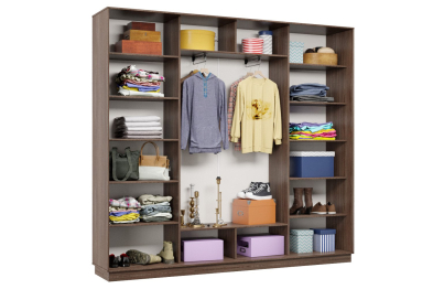 Шкаф-купе Премьер 63 (14;14;14) трёхдверный