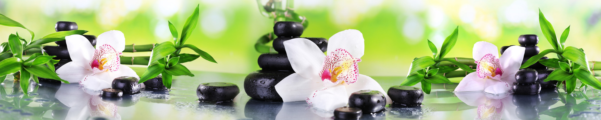 Стеновые панели из АБС-пластика, Кухонный фартук Орхидеяна камнях 3000x600x1.5 мм глянец