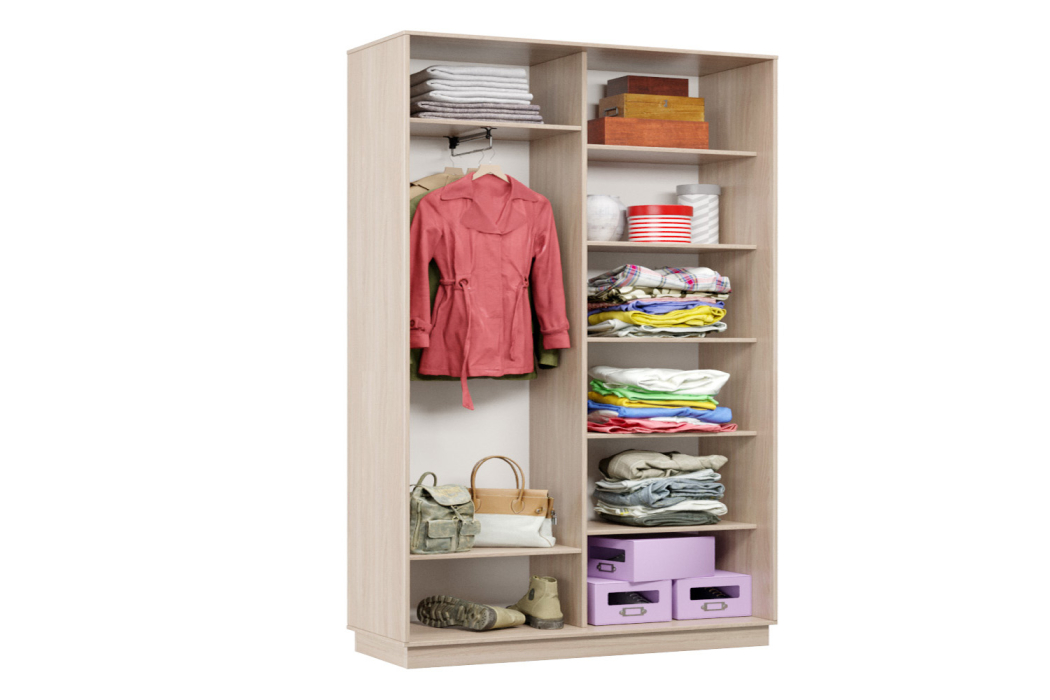 Шкафы-купе, Шкаф-купе Премьер Лайт 03 (08;11) двухдверный