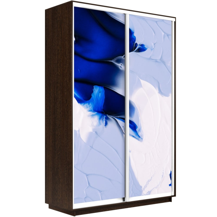 Шкафы-купе, Шкаф-купе Экспресс 1010, 120х45х240