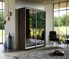 Шкафы-купе, Шкаф-купе Экспресс Экспенс дуо 2200 x 1600 x 600