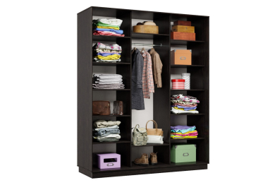 Шкаф-купе Премьер 32 (15;15;15) трёхдверный