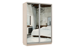 Шкафы-купе 2-х дверные, Шкаф-купе Премьер Лайт МИНИ 04 (04;04) двухдверный