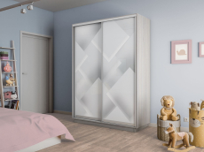 Шкафы-купе 2-х дверные, Шкаф-купе Экспресс 2-х дверный Фотопечать Квадрат Стекла 160х45х220