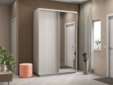 Шкафы-купе, Шкаф-купе Экспресс Медиум дуо 2400 x 1600 x 600