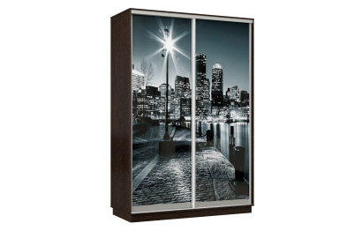 Шкаф-купе Премьер Лайт 04 Мини Ф-1356 двухдверный