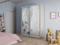 Шкафы-купе 2-х дверные, Шкаф-купе Экспресс 2-х дверный Фотопечать Шелк Стекла 160х45х220