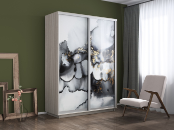 Шкаф-купе Экспресс 1001, 120х60х240