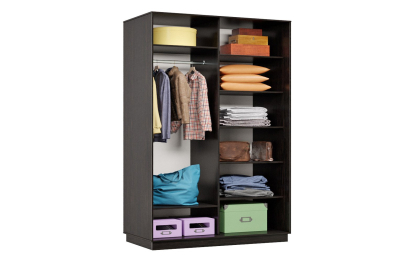 Шкаф-купе Премьер 02 венге