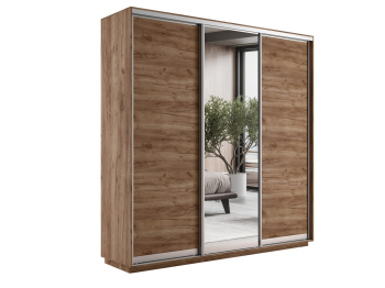 Шкаф-купе Экспресс Медиум (1 зеркало) трио 2200 x 2400 x 450