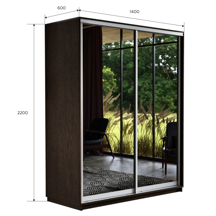 Шкафы-купе, Шкаф-купе Экспресс Экспенс дуо 2200 x 1400 x 600