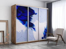 Шкафы-купе, Шкаф-купе Экспресс 1010, 180х60х220