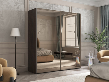 Шкаф-купе Эста Зеркало+Зеркало 200х66х240