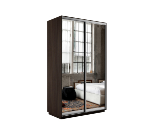 Шкаф-купе Экспресс Экспенс дуо 2400 x 1600 x 600